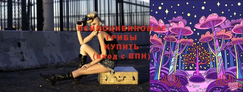 кракен зеркало  Волжск  Псилоцибиновые грибы Cubensis  это как зайти  купить наркотики сайты 