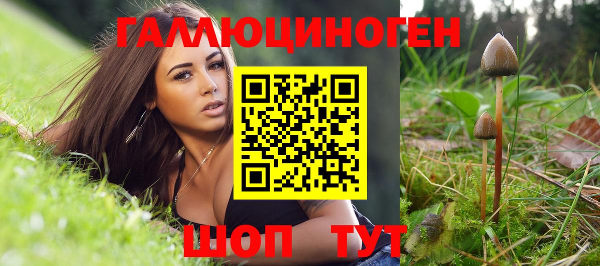 Волжск  Галлюциногенные грибы ЛСД  Вход с VPN 